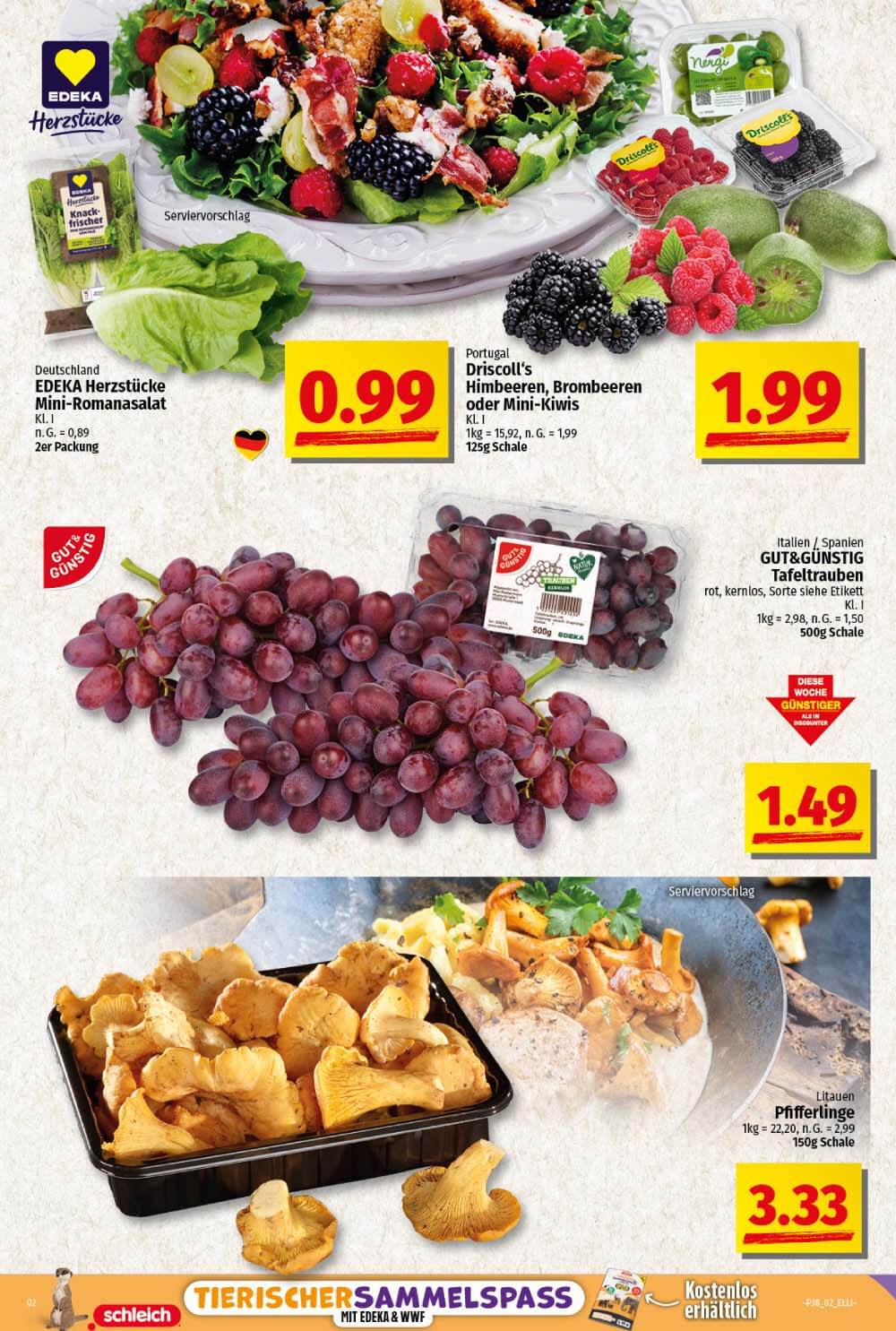 Handzettel_Elli-NuG_KW_38-2